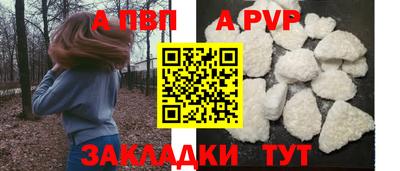 гидра Краснознаменск