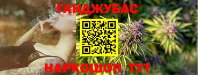 гидра Краснознаменск