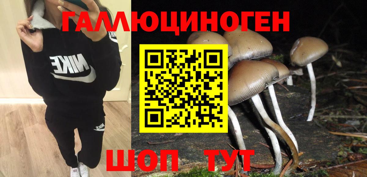 Галлюциногенные грибы мухоморы Кириши