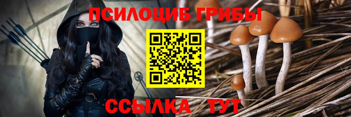 Галлюциногенные грибы мухоморы  Вход с VPN  Кириши 